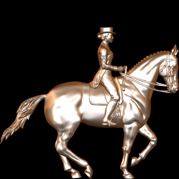 Dressage Rider